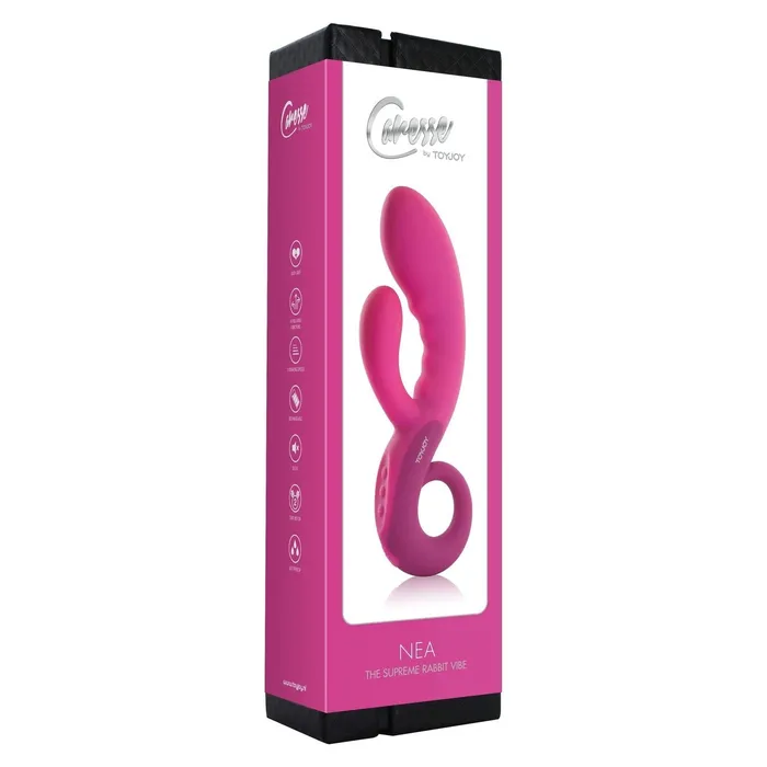 Caresse Female Sex Toys | Vibratore Rabbit e Stimolatore Punto G Nea - Silicone, ricaricabile, Viola