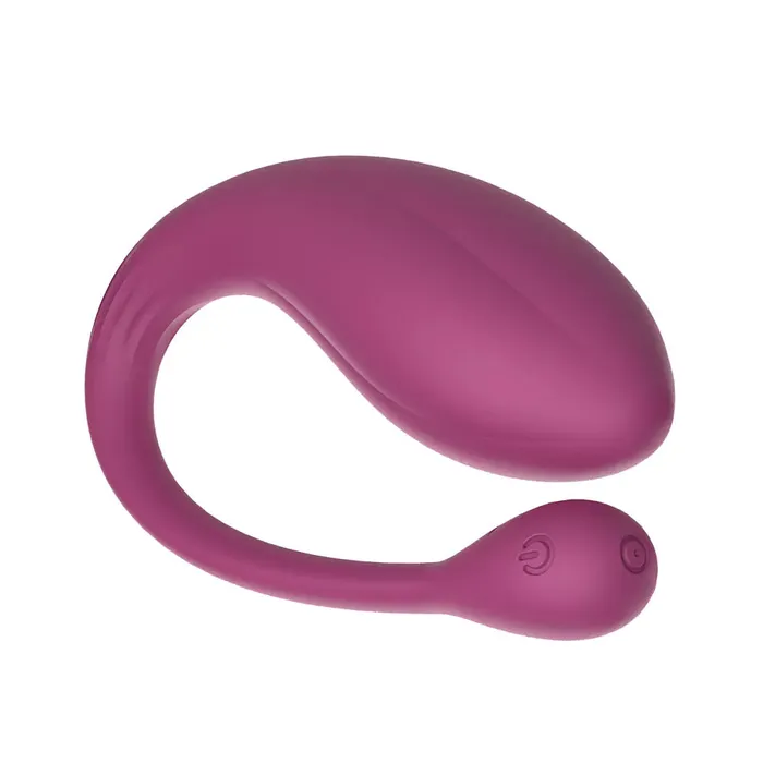 Delfi Toys Vibrators | Limitless - RL1 - Vibrerend Eitje met Afstandsbediening - Paars