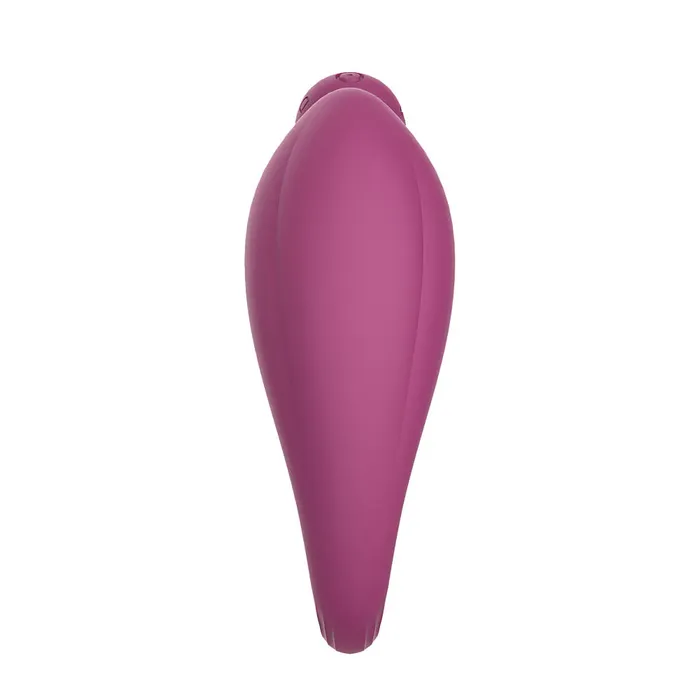 Delfi Toys Vibrators | Limitless - RL1 - Vibrerend Eitje met Afstandsbediening - Paars