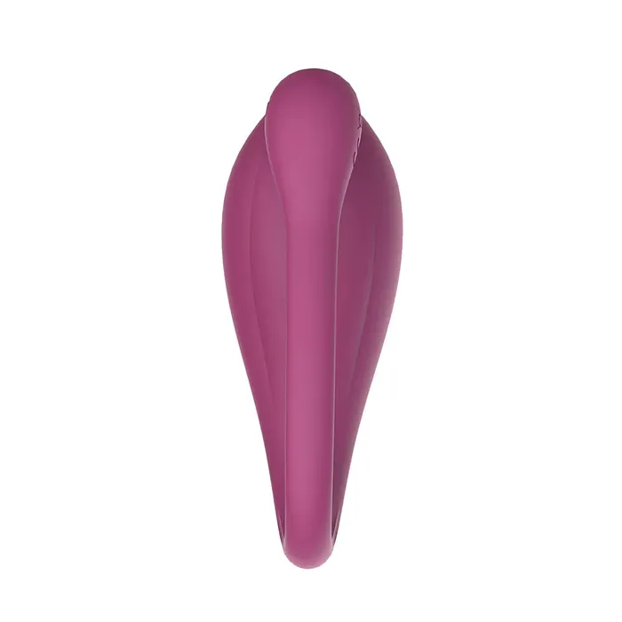 Delfi Toys Vibrators | Limitless - RL1 - Vibrerend Eitje met Afstandsbediening - Paars