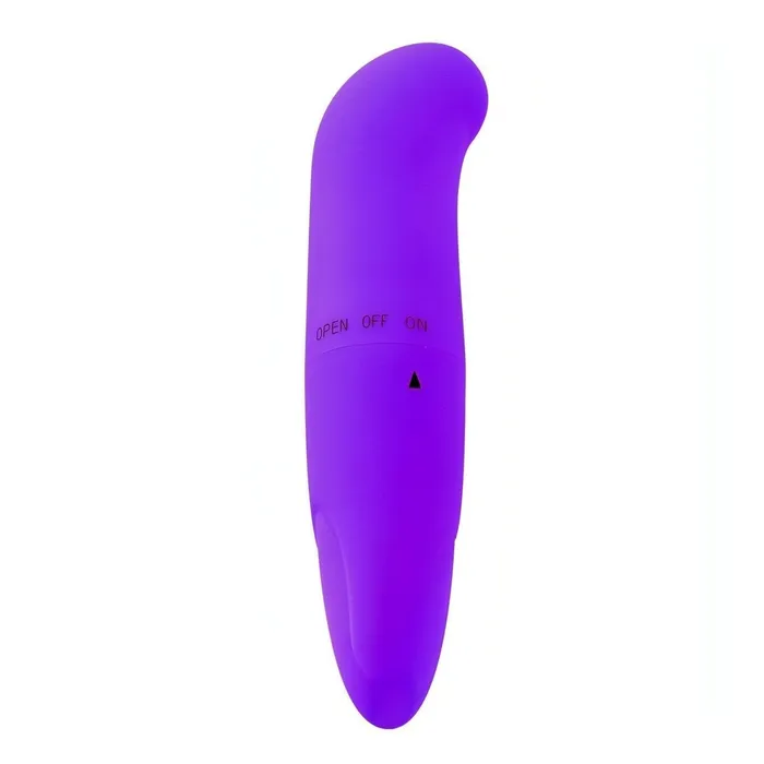 Female Sex Toys Mini vibratore punto G Viola Toyz4lovers