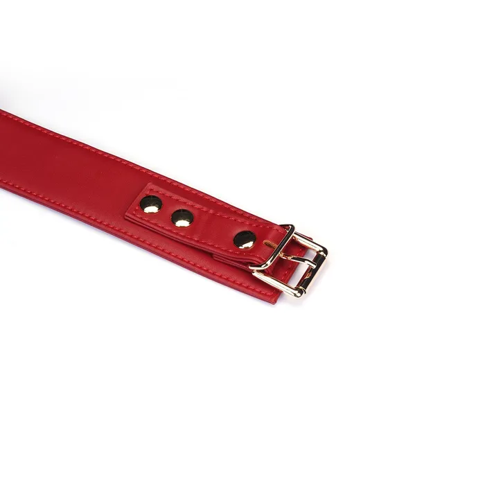 Liebe Seele Vibrators | Liebe Seele - Bright Red - PU Lederen Collar met Leiband - Vegan - Rood/Goud