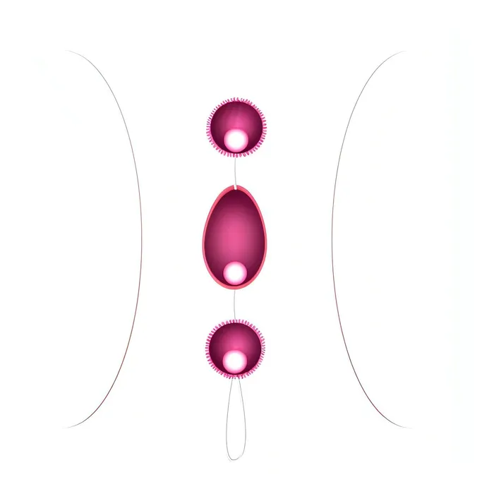 Vibrators | Baile Trio di Palline Anali/Vaginali con rilievi stimolantio - Rosa